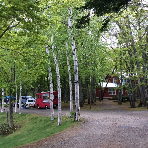 b0220002_20070920.jpg