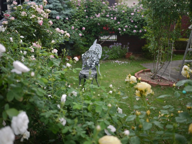 e0163202_21201516.jpg