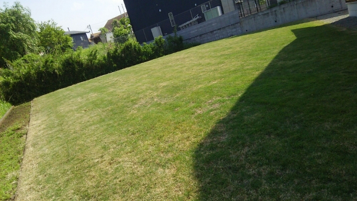 初夏の山小屋 & 服部牧場_c0212604_19201187.jpg