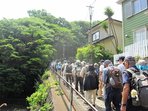 鎌倉歩協　5月例会－鎌倉の3大緑地を巡る(2015.05.17)_e0245404_17414967.jpg