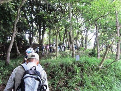 鎌倉歩協　5月例会－鎌倉の3大緑地を巡る(2015.05.17)_e0245404_1742457.jpg