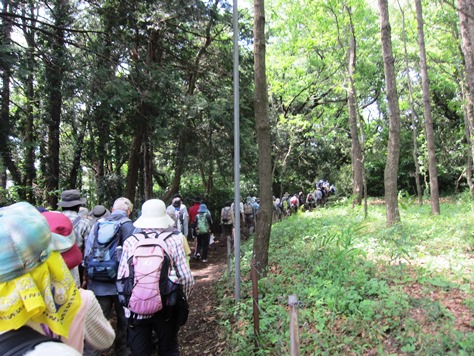 鎌倉歩協　5月例会－鎌倉の3大緑地を巡る(2015.05.17)_e0245404_17425972.jpg