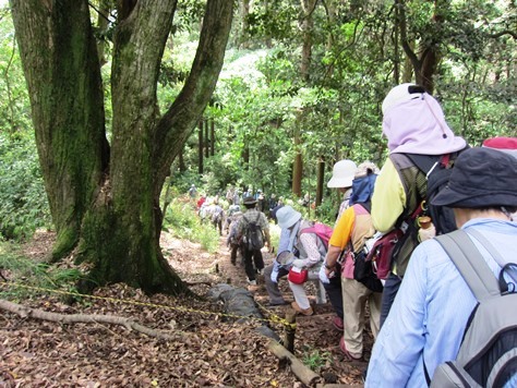 鎌倉歩協　5月例会－鎌倉の3大緑地を巡る(2015.05.17)_e0245404_17431728.jpg