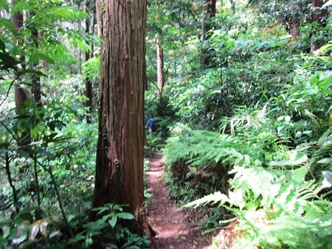 e0245404_17433644.jpg