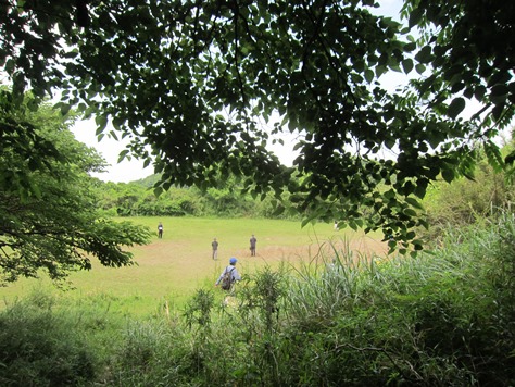 e0245404_1744789.jpg