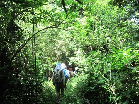 鎌倉歩協　5月例会－鎌倉の3大緑地を巡る(2015.05.17)_e0245404_17451925.jpg