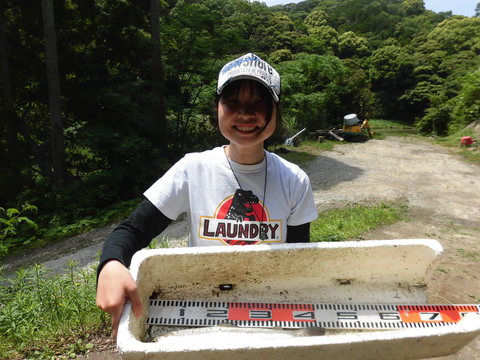 5月17日(日)晴れ、27度_f0192504_1312068.jpg