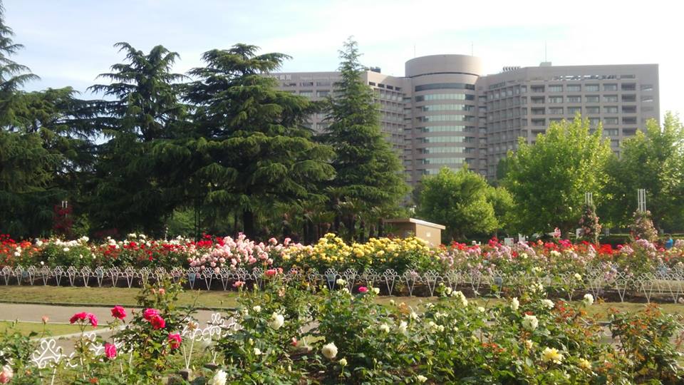 c0152507_13465928.jpg
