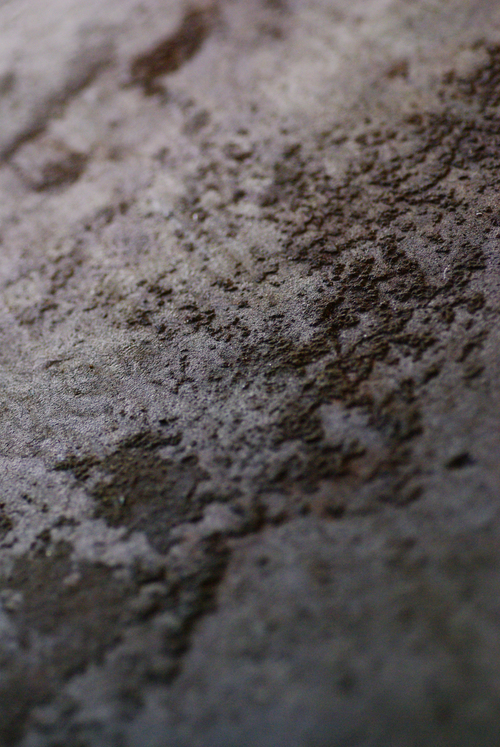 写真展 <birthday> のこと #2_f0155808_12263736.jpg