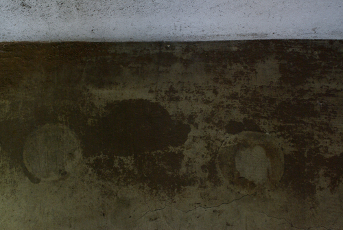 写真展 <birthday> のこと #2_f0155808_1227375.jpg