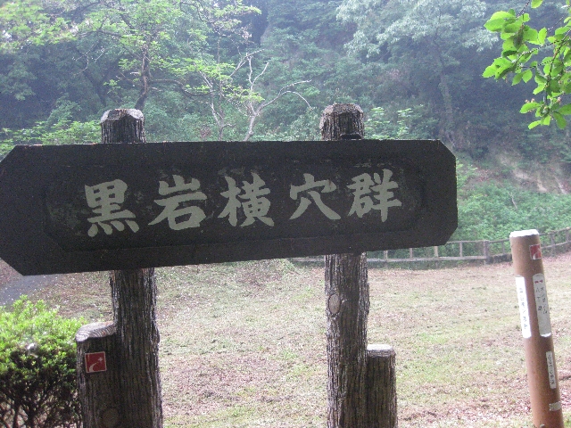 a0138609_1219997.jpg