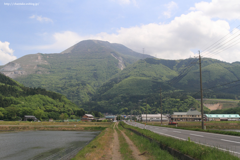 伊吹山　5月の花たち_c0189013_1692356.jpg