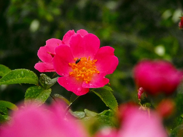 a0087818_13544857.jpg