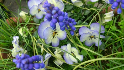 f0339422_7224437.jpg