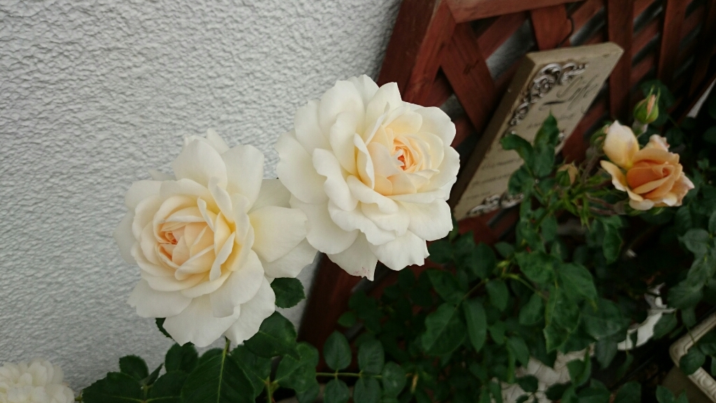 e0263224_20440082.jpg