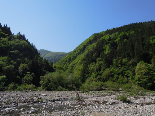 e0147226_21332391.jpg