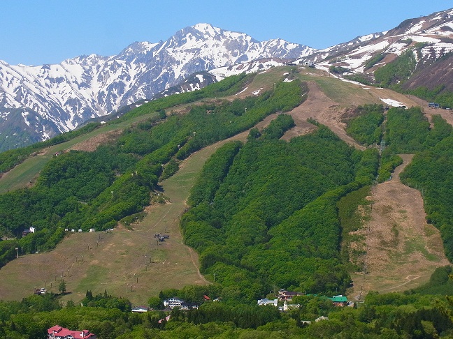 c0225927_10024.jpg