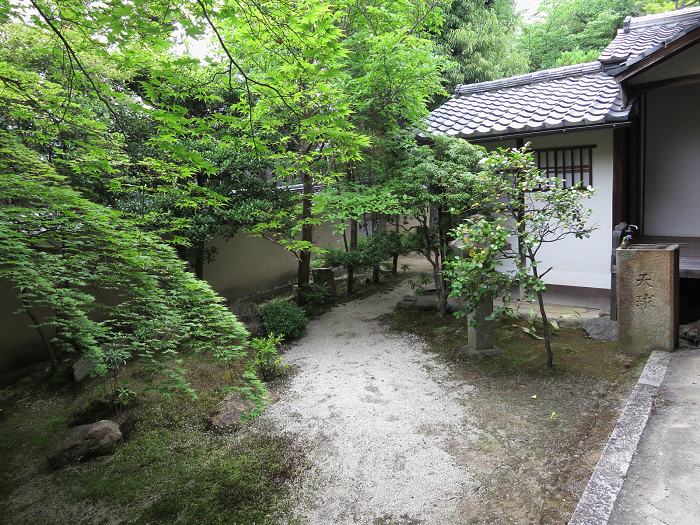 初夏の妙心寺 －天球院（後編）－_b0169330_1485670.jpg