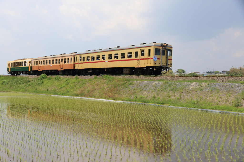 ひたちなか海浜鉄道開業７周年_b0189733_20401861.jpg