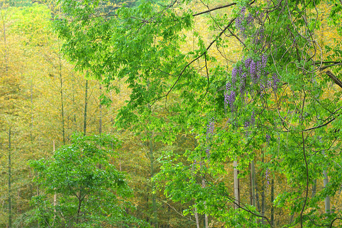 c0067040_18372669.jpg