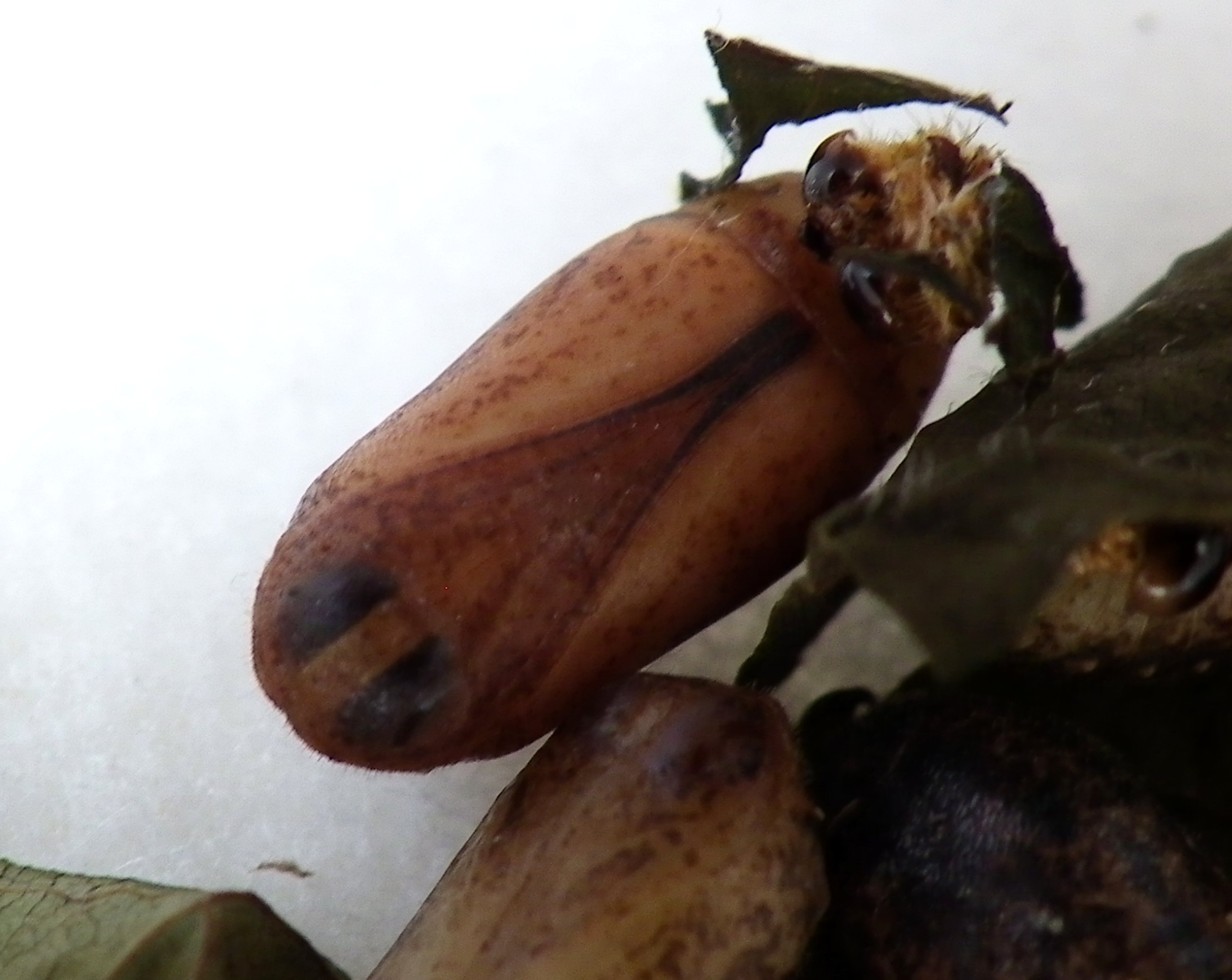 d0254540_19123799.jpg