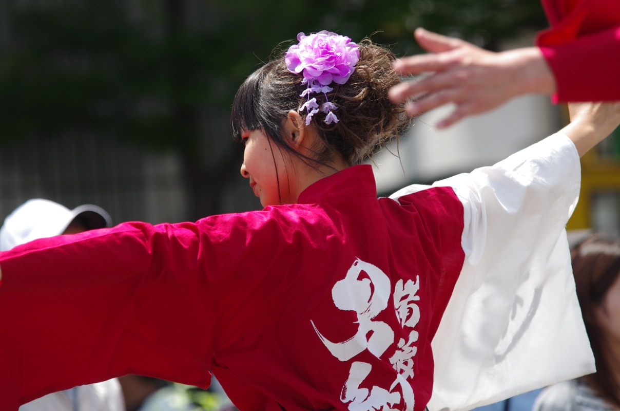 福山ばら祭り２０１５その１（備後男組）_a0009554_2371037.jpg