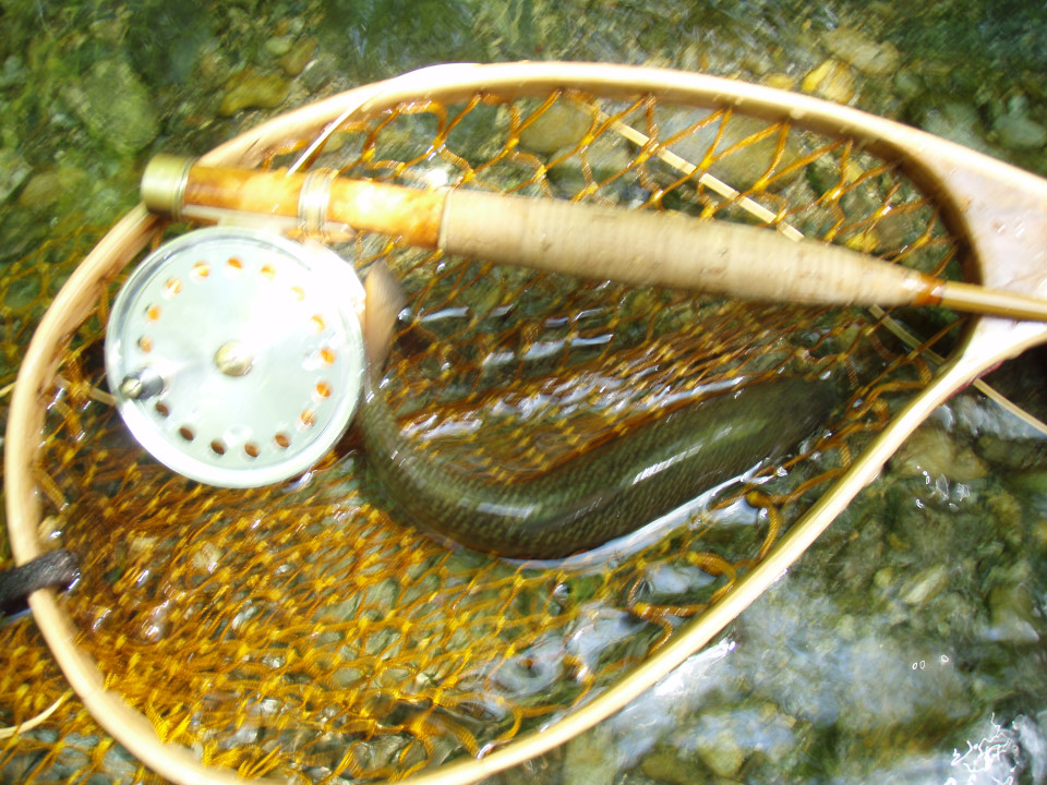 d0283357_1853824.jpg