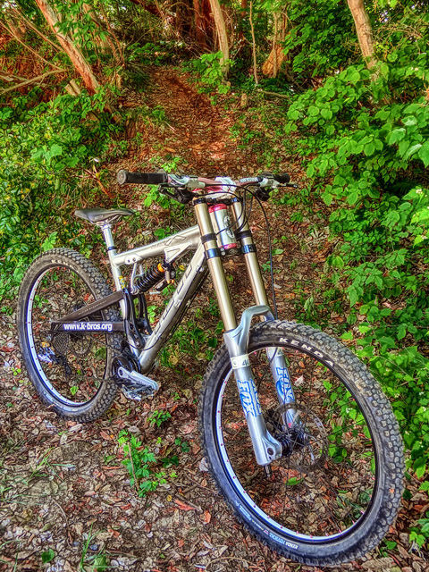 the trail hunter II_b0049658_16312033.jpg