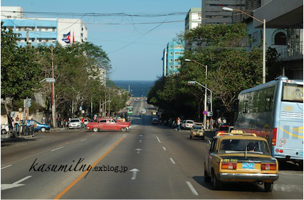 f0063659_27850.png
