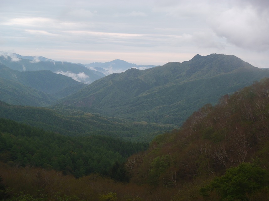 d0032262_1649462.jpg