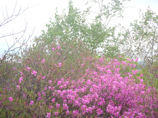 d0032262_179382.jpg