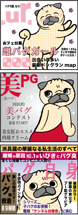 パグ雑誌 for レディース！続々創刊（仮）_c0354666_18595195.png