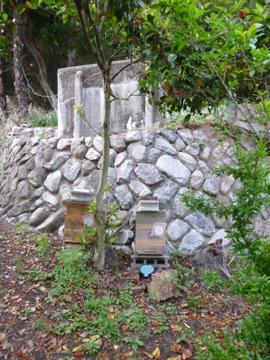 c0275667_22505717.jpg