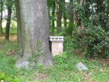 c0275667_22514947.jpg