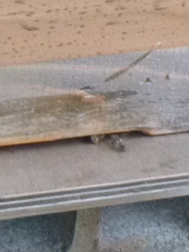 c0275667_2252382.jpg