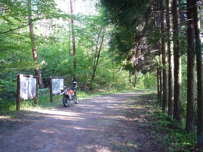d0008367_16080235.jpg