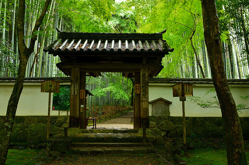 竹の寺　地蔵院　雨霽れる_c0317868_16044404.jpg