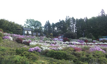 旅 15 19 義兄は歴戦の兵士だった 旅 21 15 イトーヨーカ堂 旅 15 19 義兄は歴戦の兵士だった 旅 21 15 イトーヨーカ堂