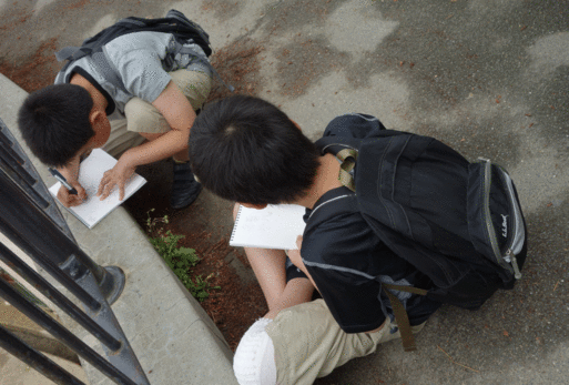 b0159780_2164076.gif