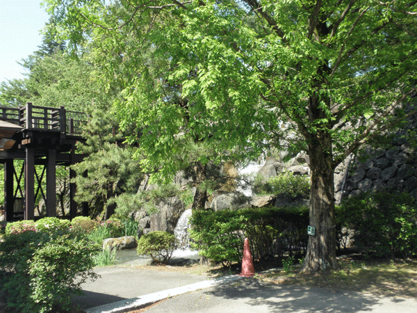 b0098881_20473332.gif
