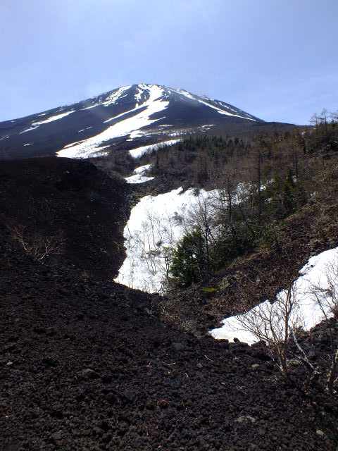 e0145782_17341159.jpg