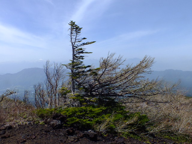 e0145782_17451737.jpg