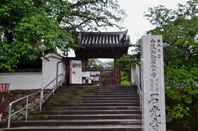 石光寺　アメリカ芍薬_c0229483_1956827.jpg