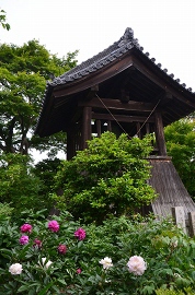 c0229483_20342369.jpg