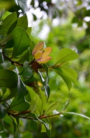 c0229483_2182618.jpg