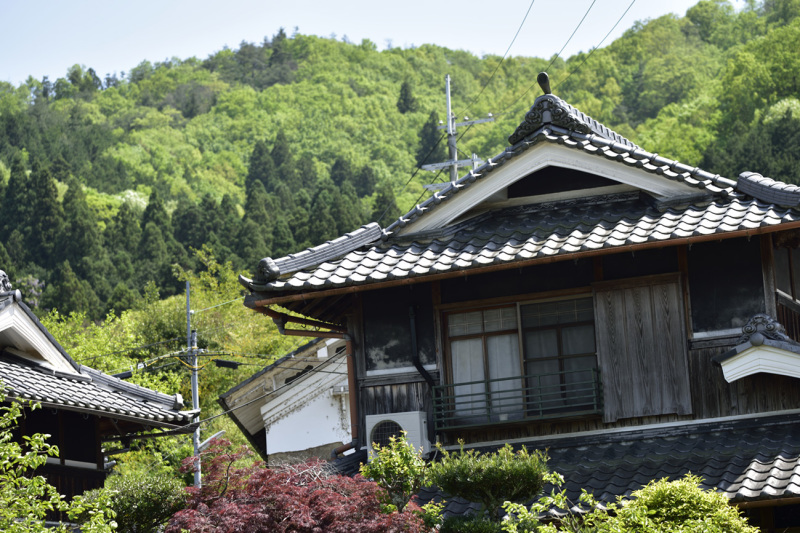 里山の風景_a0110584_23045735.jpg