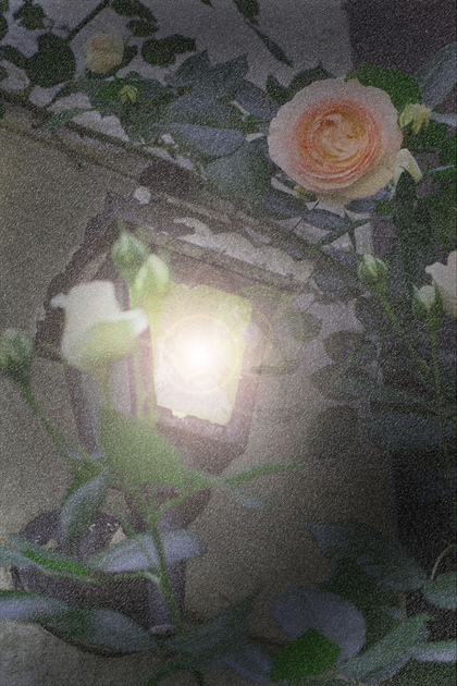 e0305388_8455651.jpg