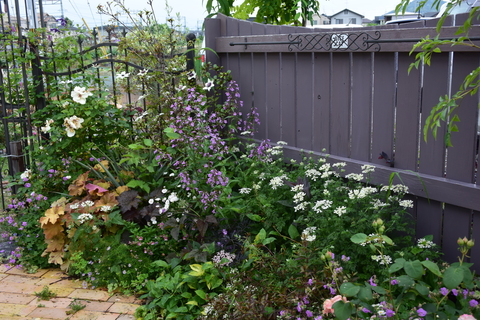b0230589_0111437.jpg
