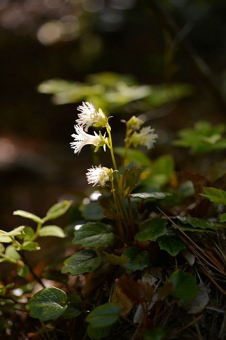 b0255992_759629.jpg