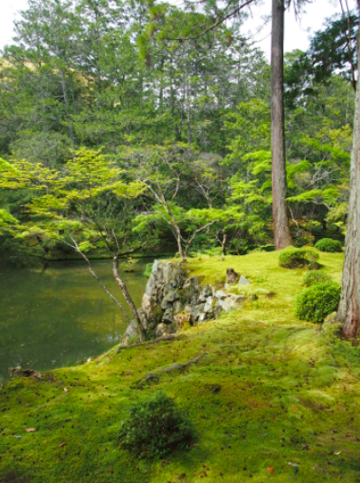 京都 2015初夏　〜その１０・苔寺②〜_a0146493_12391542.png